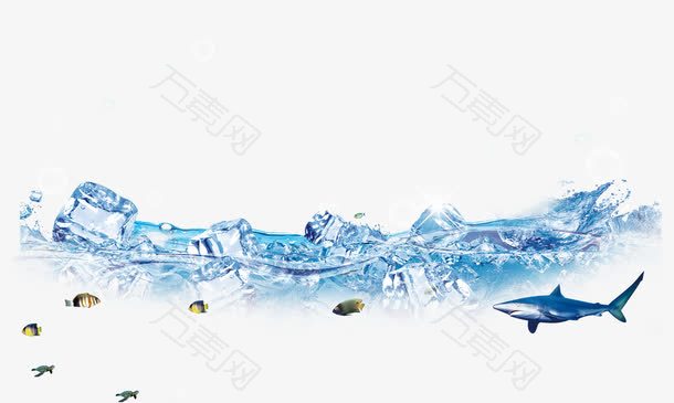 水冰块海豚鱼小鱼冰山