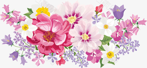 装饰图案海报元素花卉淡粉色
