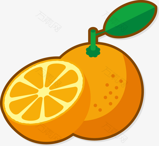矢量图水彩卡通橙子