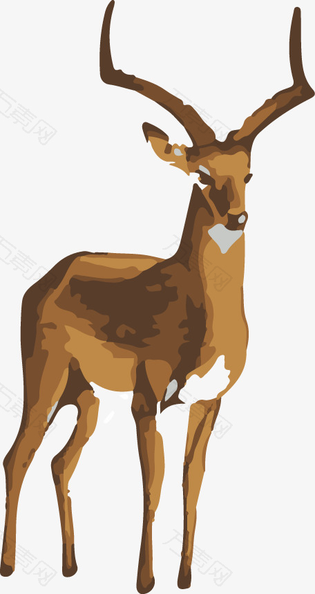 麋鹿鹿