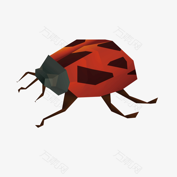红色昆虫