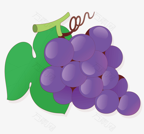 一串紫色的葡萄
