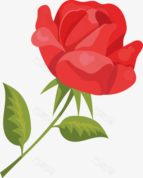精美红色玫瑰花朵