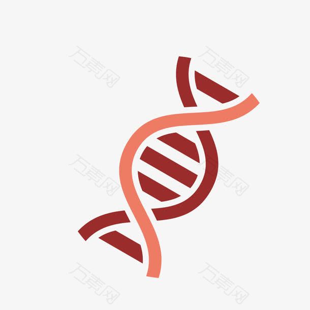 矢量DNA分子基因链手绘
