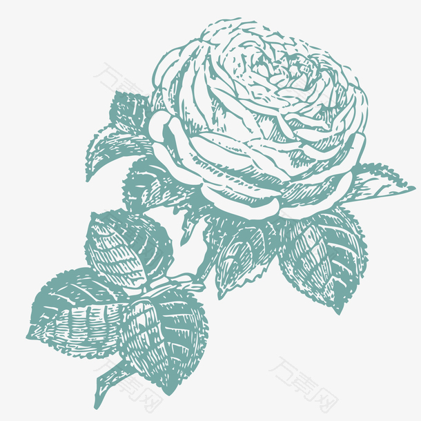 复古玫瑰素描设计