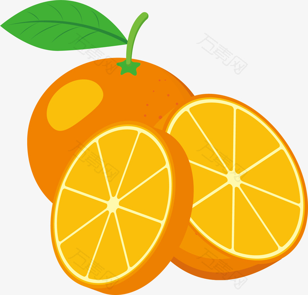 矢量图橙色水彩橙子