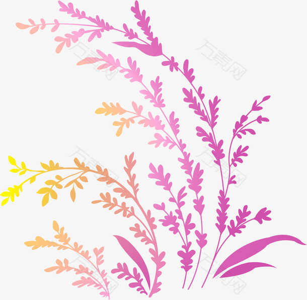 紫色植物花纹