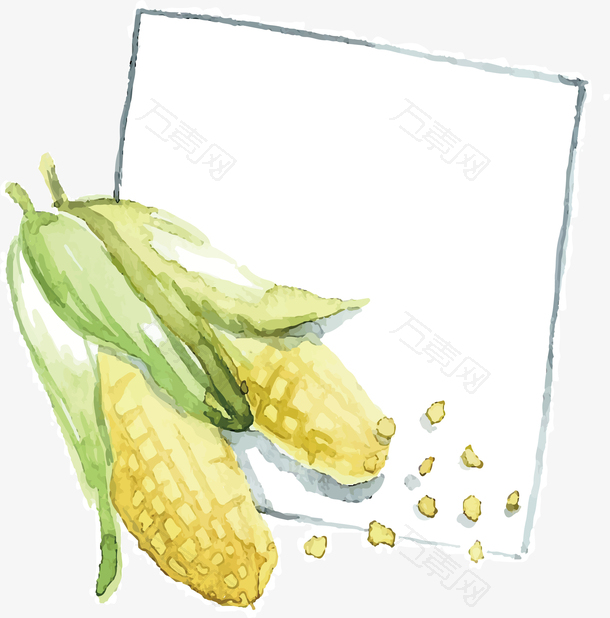水彩玉米标题框
