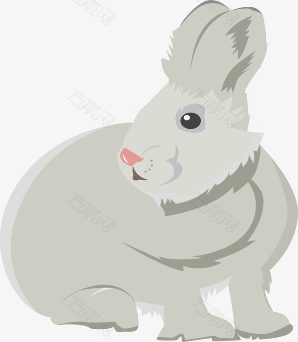 毛茸茸的可爱小灰兔