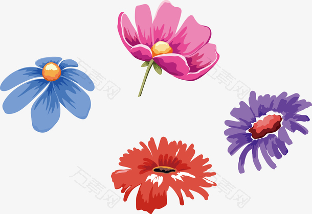 4款彩绘清新的菊花矢量素材