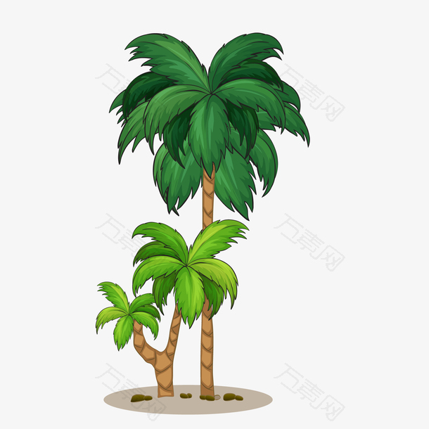 精美椰子树矢量图