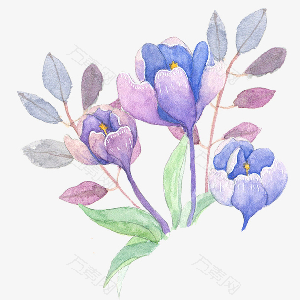 紫色花朵水彩彩绘花卉花朵装饰矢