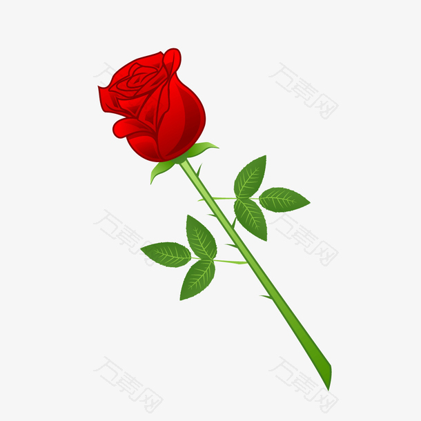 红色玫瑰花朵爱情