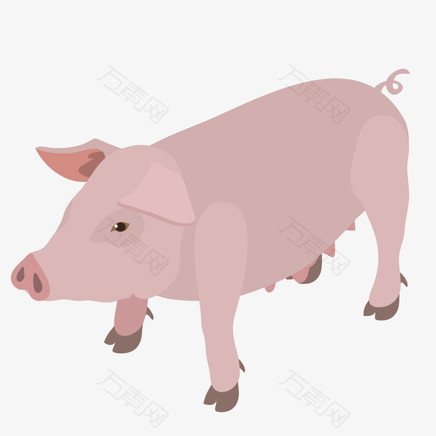 粉色可爱设计小猪