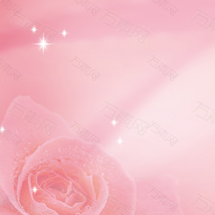 粉色花朵主图
