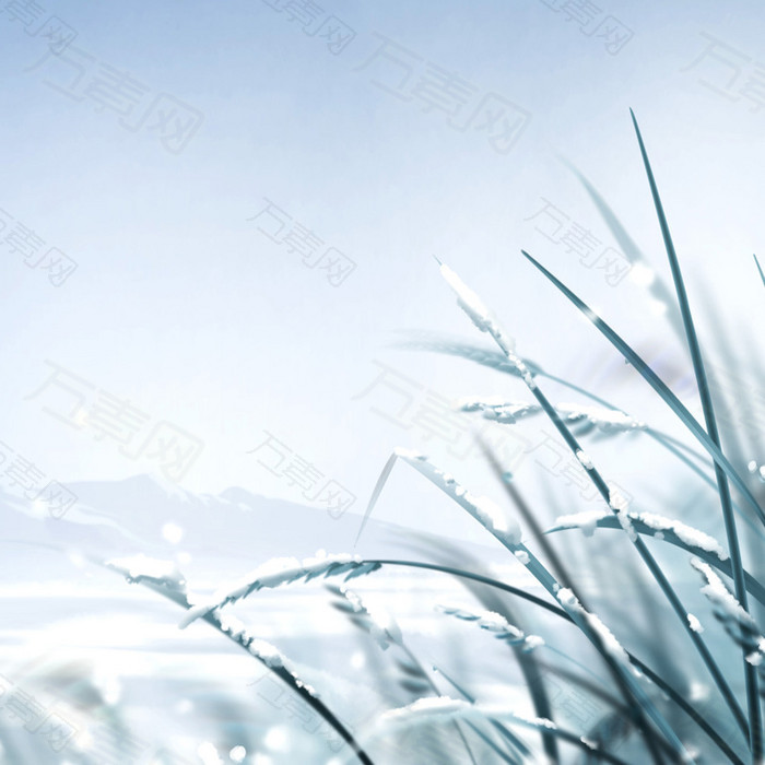 冬季雪压草丛背景图