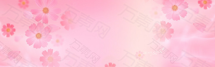 浪漫花瓣banner