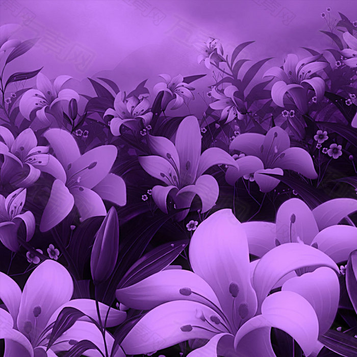 紫色兰花扁平主图背景素材