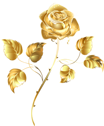金色玫瑰花