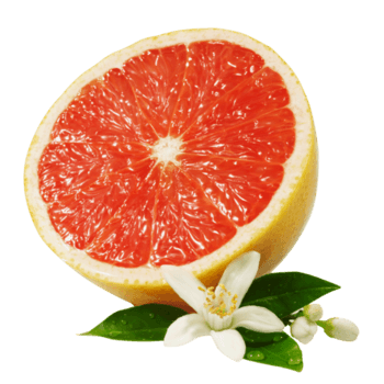 800*800下载:2下载png红心柚子下载png尺寸:800*800下载:1下载png柚子