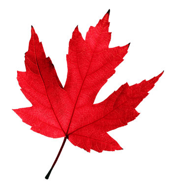 红枫叶图片-红枫叶设计素材-红枫叶素材免费下载-万素网