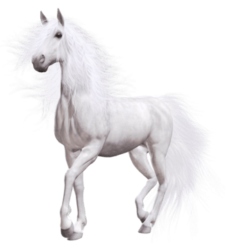 白马图片-白马设计素材-白马素材免费下载-万素网