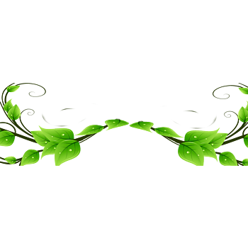 藤条图片-藤条设计素材-藤条素材免费下载-万素网