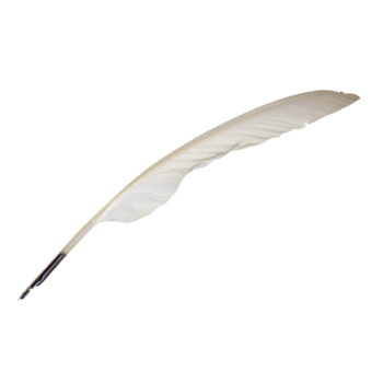 羽毛笔图片-羽毛笔设计素材-羽毛笔素材免费下载-万素网