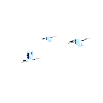 飞翔的仙鹤图片-飞翔的仙鹤设计素材-飞翔的仙鹤素材免费下载-万素网