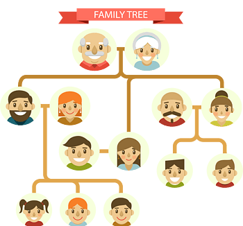 家庭结构图符号图片