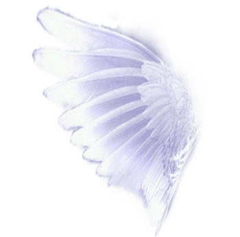 下载png翅膀下载png下载:108尺寸:259*345下载png梦幻翅膀下载png下载