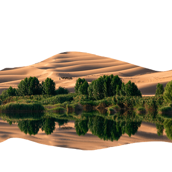 沙漠绿洲
