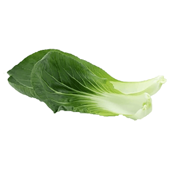 油菜图片-油菜设计素材-油菜素材免费下载-万素网