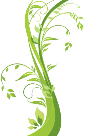 绿色藤条藤条藤条背景绿藤条花藤条手绘藤条藤条手绘树叶藤条藤条素材