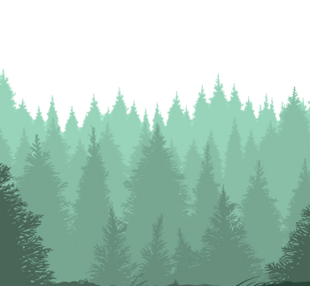 可商用原图下载可商用原图黄金时段天空下的树影下载可商用原图尺寸