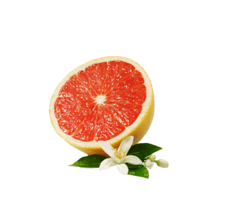 0下载png切开的柚子下载png尺寸:800*800下载:1下载png柚子下载png