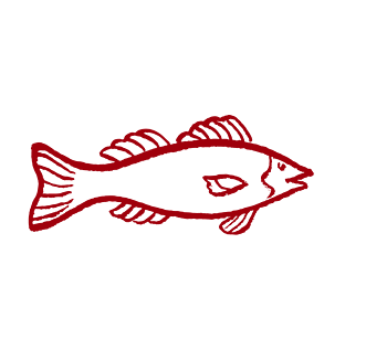 30 多张免费的“鱼竿”和“鱼”照片- Pixabay