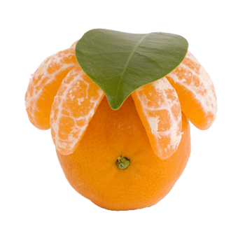 桔子图片-桔子设计素材-桔子素材免费下载-第3页-万素网