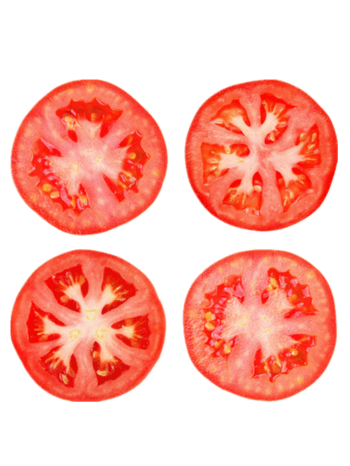 番茄横切面结构图图片