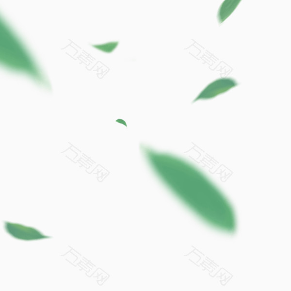 漂浮的绿色落叶