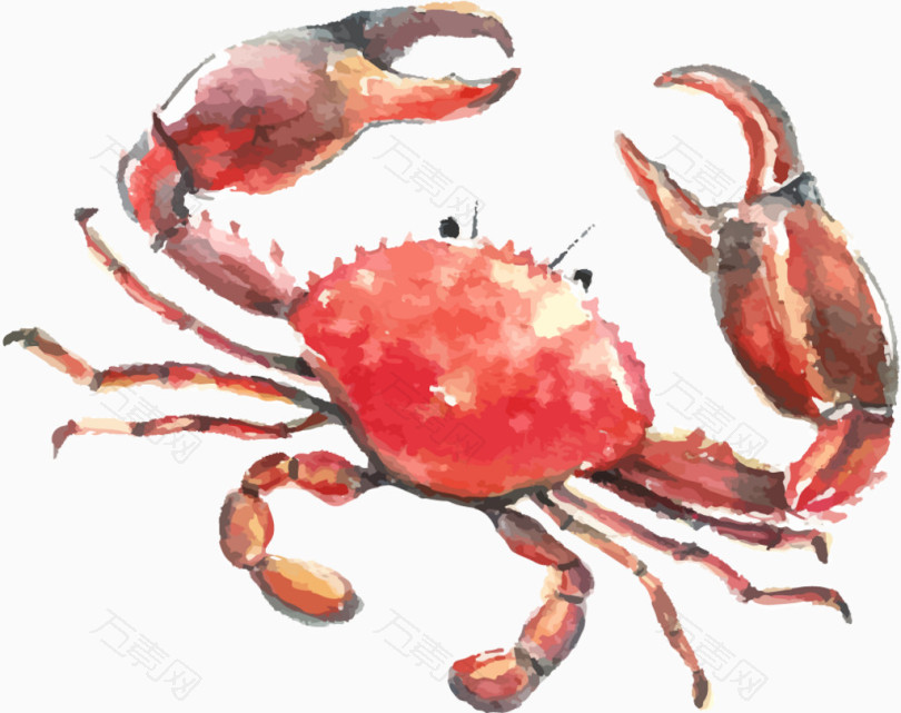 卡通手绘螃蟹