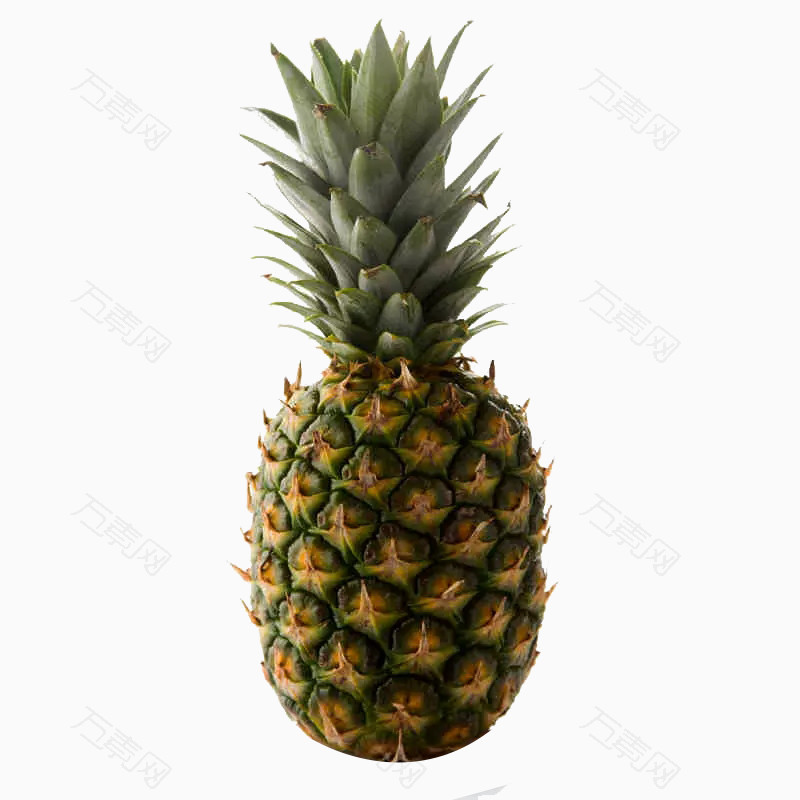 一个完整的菠萝
