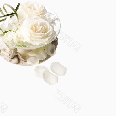 白玫瑰花瓣