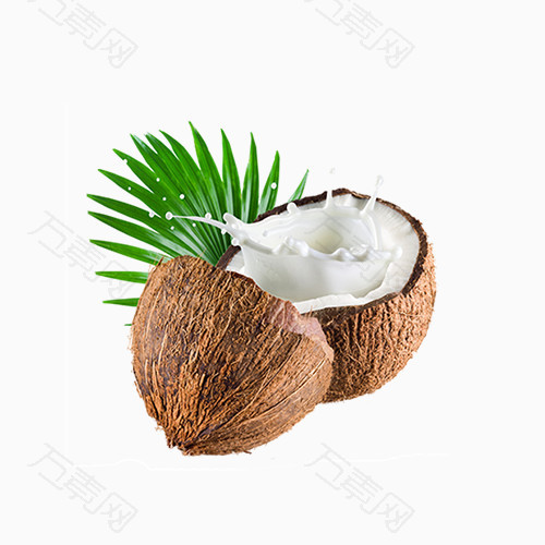 椰子椰汁树叶