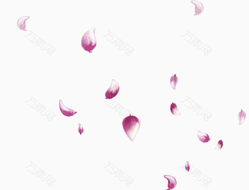 浅紫色花瓣