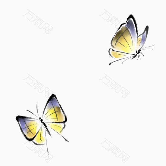 两只黄色的蝴蝶