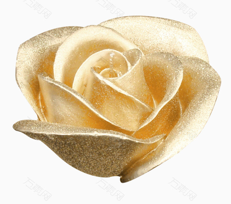 漂亮金色玫瑰花