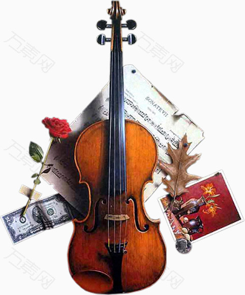 小提琴美金