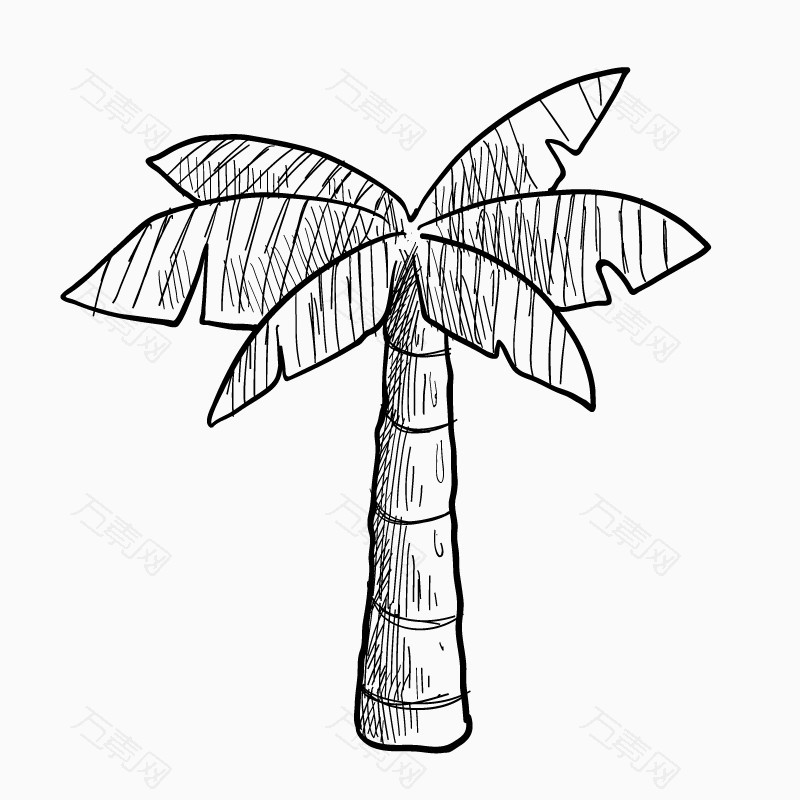夏日手绘素材椰子树