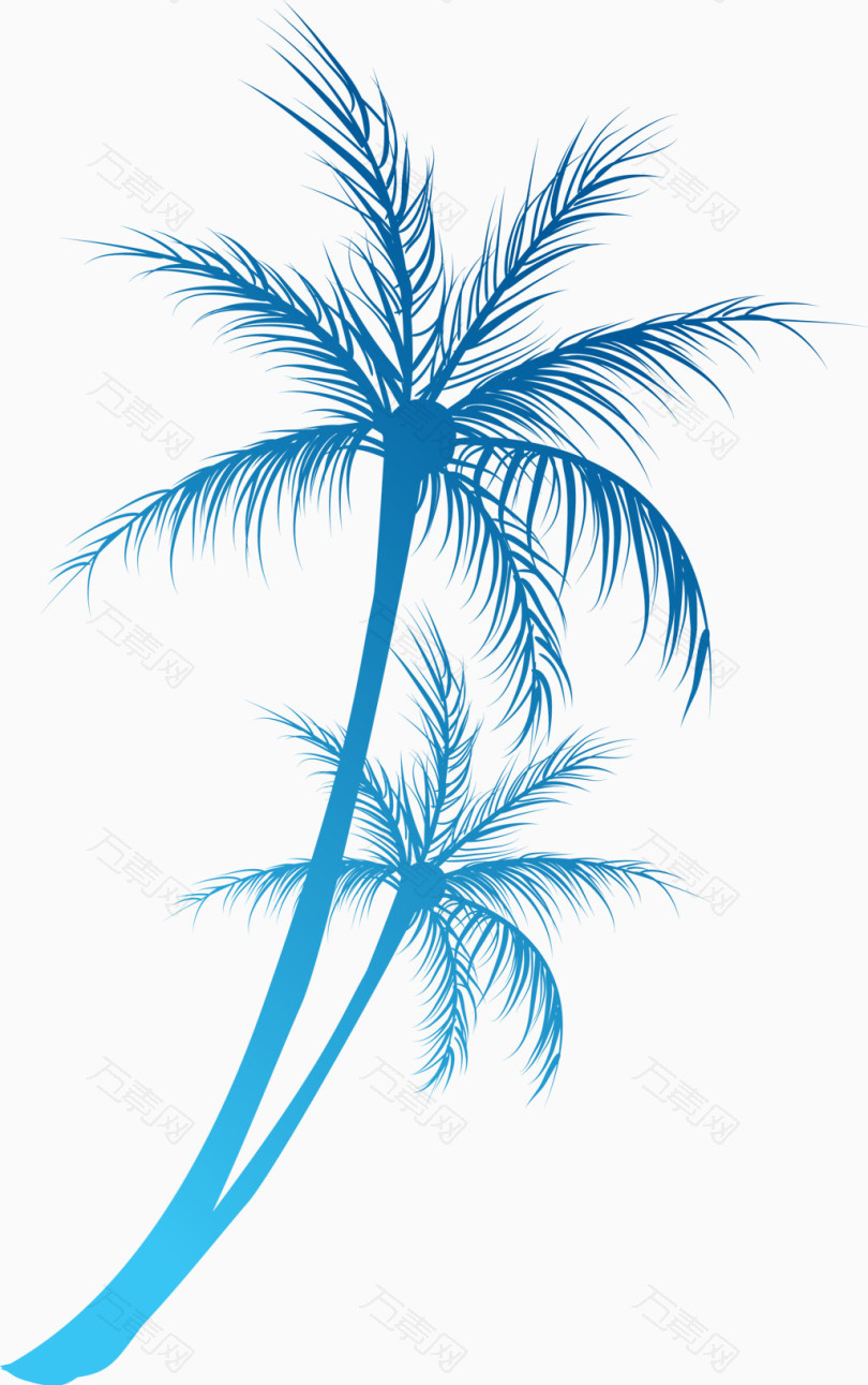 卡通夏日椰树枝